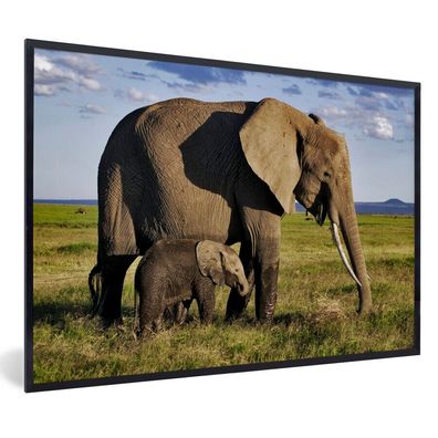 Poster - 60x40 cm - Mutter und Baby-Elefant durch die Savanne