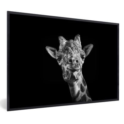 Poster - 60x40 cm - Giraffe - Tier - Schwarz - Weiß
