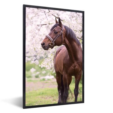 Poster - 80x120 cm - Pferd - Sakura - Halfter