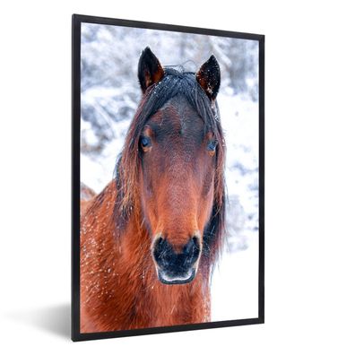 Poster - 60x90 cm - Pferd - Winter - Schneeflocke