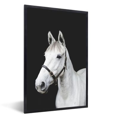 Poster - 60x90 cm - Pferd - Halfter - Weiß