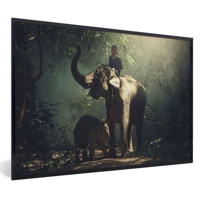 Poster - 120x80 cm - Elefantentrainer mit einem Elefanten und ihrem Baby im Wald
