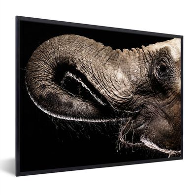Poster - 40x30 cm - Porträt eines Elefanten mit seinem Rüssel im Maul