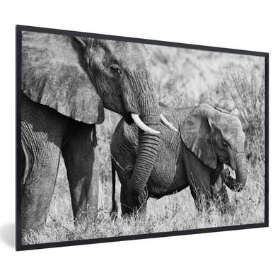 Poster - 90x60 cm - Baby-Elefant und ihre Mutter in Kenia in schwarz und weiß