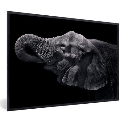 Poster - 60x40 cm - Elefant mit Rüssel im Maul in Schwarz und Weiß