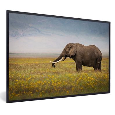 Poster - 30x20 cm - Weidender Elefant in der Natur Afrikas
