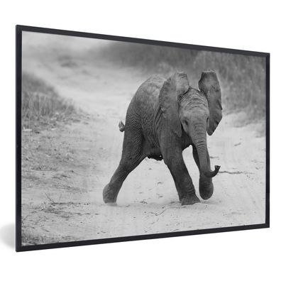 Poster - 30x20 cm - Baby-Elefant zu Fuß in den Sand in schwarz und weiß
