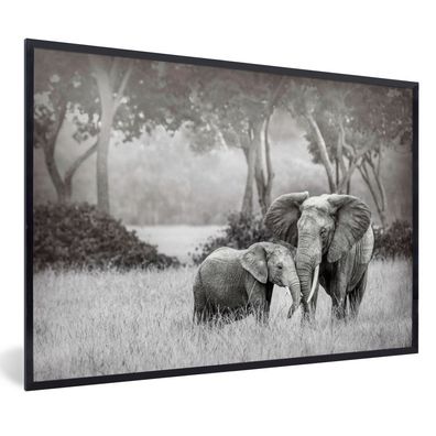 Poster - 30x20 cm - Baby-Elefant mit ihrer Mutter in schwarz und weiß