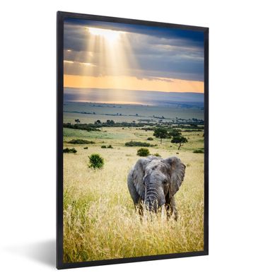 Poster - 60x90 cm - Sonnenstrahlen über einem Elefanten in der Savanne