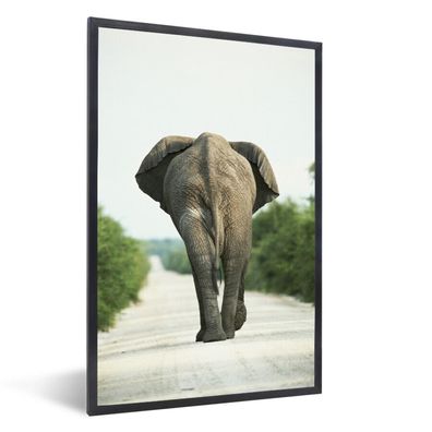 Poster - 60x90 cm - Rücken eines Elefanten