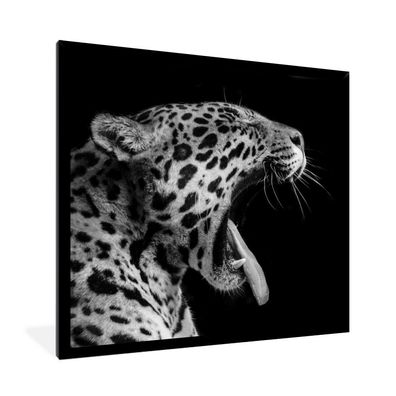 Poster - 40x40 cm - Jaguar - Tier - Schwarz - Weiß