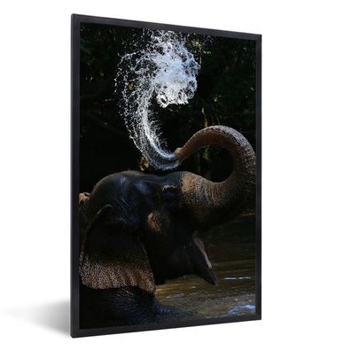 Poster - 20x30 cm - Elefant sprüht Wasser nach oben