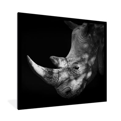 Poster - 40x40 cm - Rhinozeros - Horn - Schwarz - Weiß