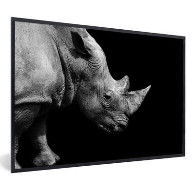 Poster - 120x80 cm - Portrait Nashorn auf schwarzem Hintergrund