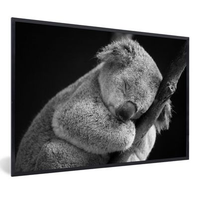 Poster - 90x60 cm - Schlafender Koala auf schwarzem Hintergrund