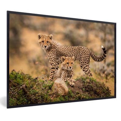 Poster - 30x20 cm - Leopard - Jungtier - Natur