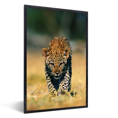 Poster - 20x30 cm - Leopard - Makro - Gras