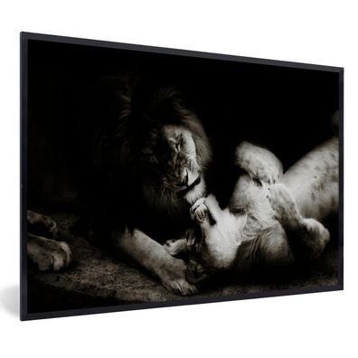 Poster - 120x80 cm - Löwe - Schwarz - Weiß