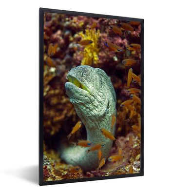 Poster - 60x90 cm - Fische - Korallen - Ozean