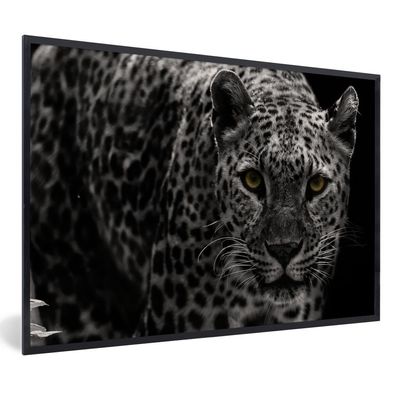 Poster - 120x80 cm - Leopard - Schwarz - Weiß