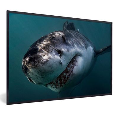 Poster - 60x40 cm - Hai - Weiß - Wasser