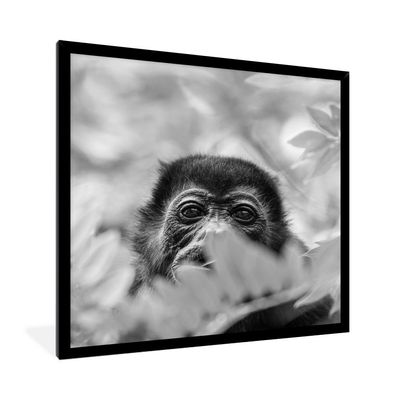 Poster - 40x40 cm - Porträt eines Brüllaffen in der Natur von Costa Rica in
