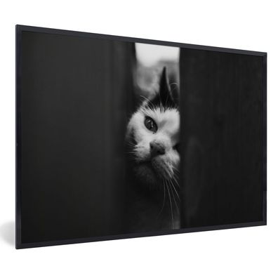 Poster - 30x20 cm - Tierprofil Spionage Katze in schwarz und weiß