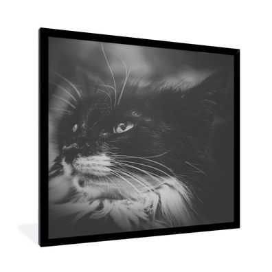 Poster - 40x40 cm - Tierprofil seitwärts blickende Katze in Schwarz und Weiß