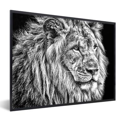 Poster - 80x60 cm - Porträt - Löwe - Schwarz - Weiß