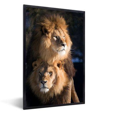 Poster - 20x30 cm - Löwen - Jagd - Wilde Tiere