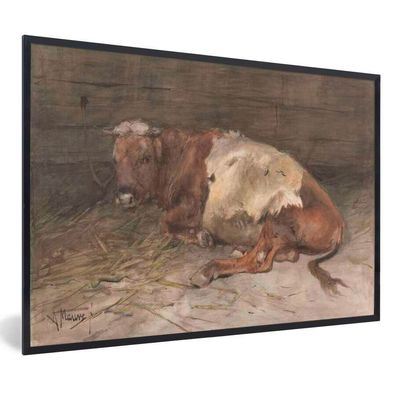 Poster - 60x40 cm - Junger Stier liegend - Gemälde von Anton Mauve