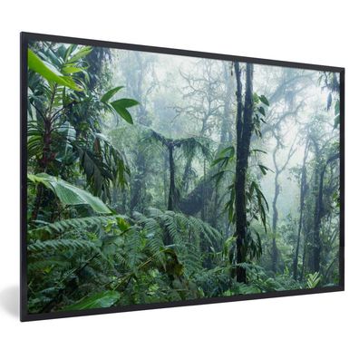 Poster - 60x40 cm - Ein nebliger Regenwald in Costa Rica