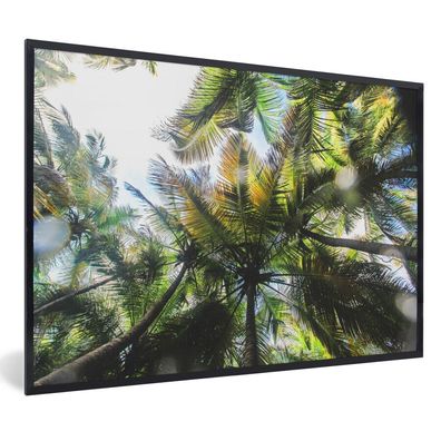 Poster - 60x40 cm - Palmen im Glover's Reef von Belize
