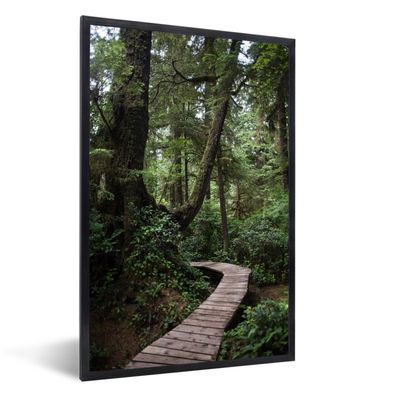 Poster - 40x60 cm - Holzbrücke in den moosbewachsenen Wäldern von Costa Rica