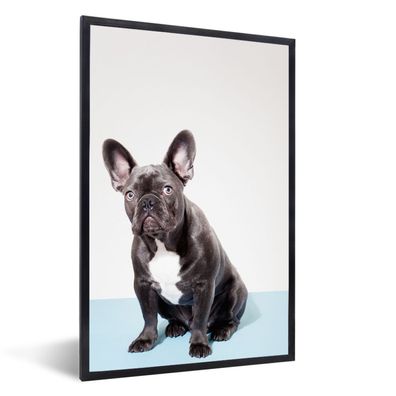 Poster - 40x60 cm - Französische Bulldogge - Portrait - Schwarz