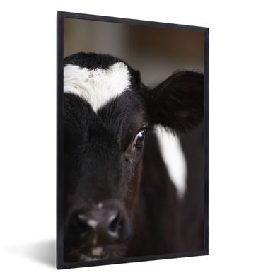Poster - 40x60 cm - Kuh - Kalb - Nase - Tiere