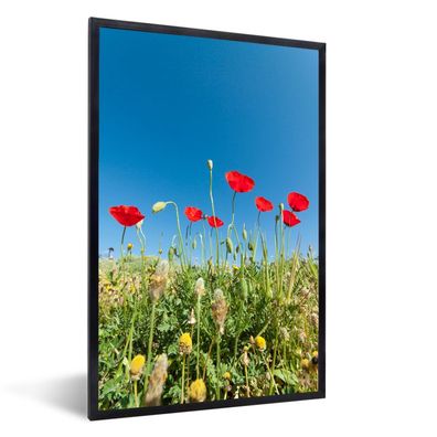 Poster - 20x30 cm - Rote Mohnblumen unter einem strahlend blauen Himmel in der