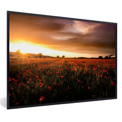 Poster - 120x80 cm - Sonnenuntergang über den Mohnblumen in England