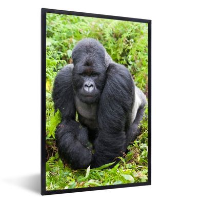 Poster - 40x60 cm - Ein Gorilla spaziert durch die grünen Blätter