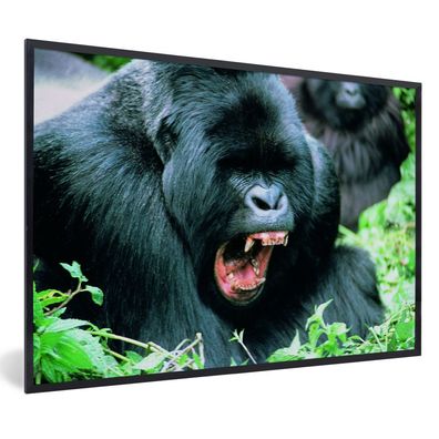 Poster - 60x40 cm - Ein klaffender Gorilla in einer grünen Umgebung