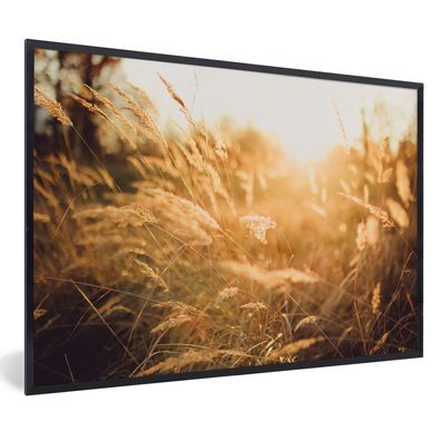 Poster - 60x40 cm - Sonne - Getreide - Feld