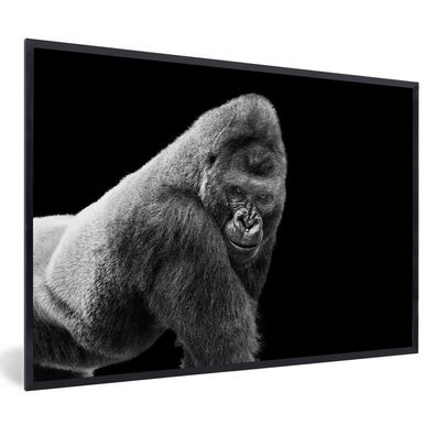 Poster - 60x40 cm - Ein prächtiger Gorilla blickt herab
