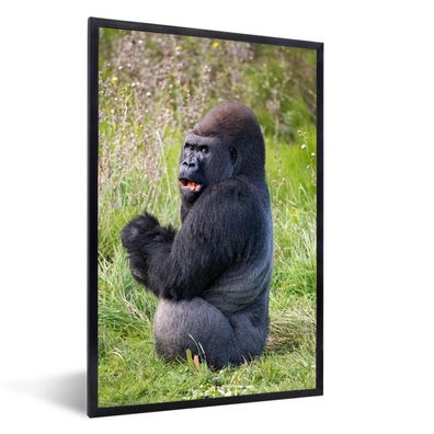 Poster - 40x60 cm - Ein Schwarzer Gorilla bei der Nahrungssuche