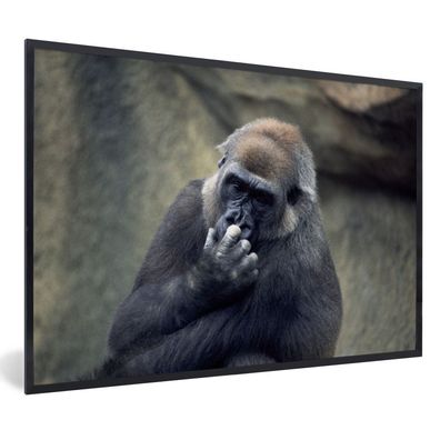 Poster - 60x40 cm - Niedlicher Gorilla kratzt sich an der Nase