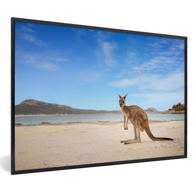 Poster - 120x80 cm - Strand - Känguru - Australien