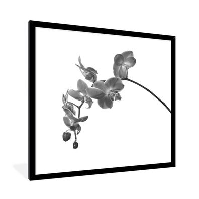 Poster - 40x40 cm - Orchidee vor weißem Hintergrund - schwarz und weiß