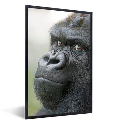 Poster - 40x60 cm - Ein erstaunlicher Gorilla
