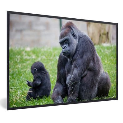 Poster - 60x40 cm - Ein großer Gorilla mit seinem Baby