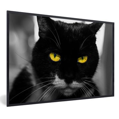 Poster - 60x40 cm - Schwarz-Weiß-Foto des Kopfes einer schwarzen Katze mit