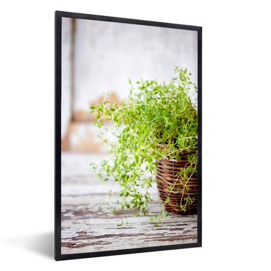 Poster - 40x60 cm - Weidenkorb mit hellgrünen Thymianpflanzen auf einem